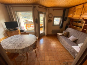 Studio à La Chapelle-d'Abondance proche centre et domaine skiable, Multi Pass été à 3€/jour/personne - FR-1-692-85